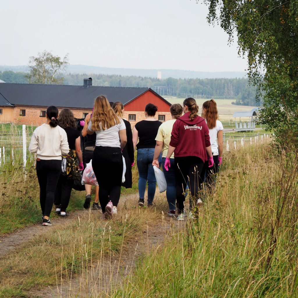 Lillerudsgymnasiet